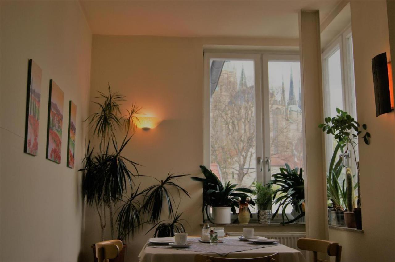 ארפורט Hotelpension Am Dom מראה חיצוני תמונה